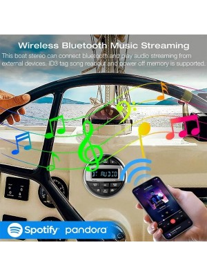 The Cape Radyo/Usb m&uuml;zik &ccedil;alar&nbsp;