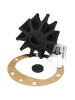 Jabsco Impeller 17937-0001-P