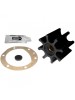 Jabsco Impeller 920-0001-P