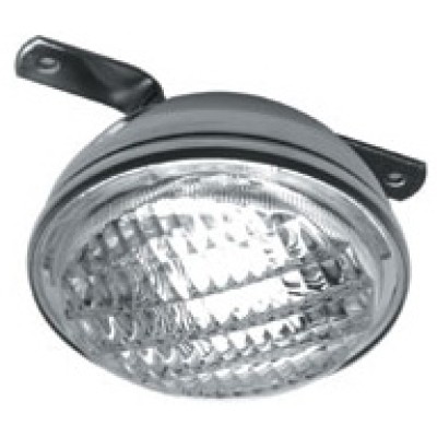 Gurcata lambası. Paslanmaz çelik. 50 W Ø 100mm.